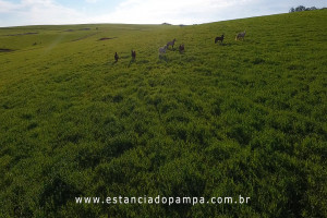 OS ARAGANOS   HERANÇAS 1984.00_00_54_15.Quadro004_bdea7c19398782c4883cf6002c8390bc8dd56b6d.jpg